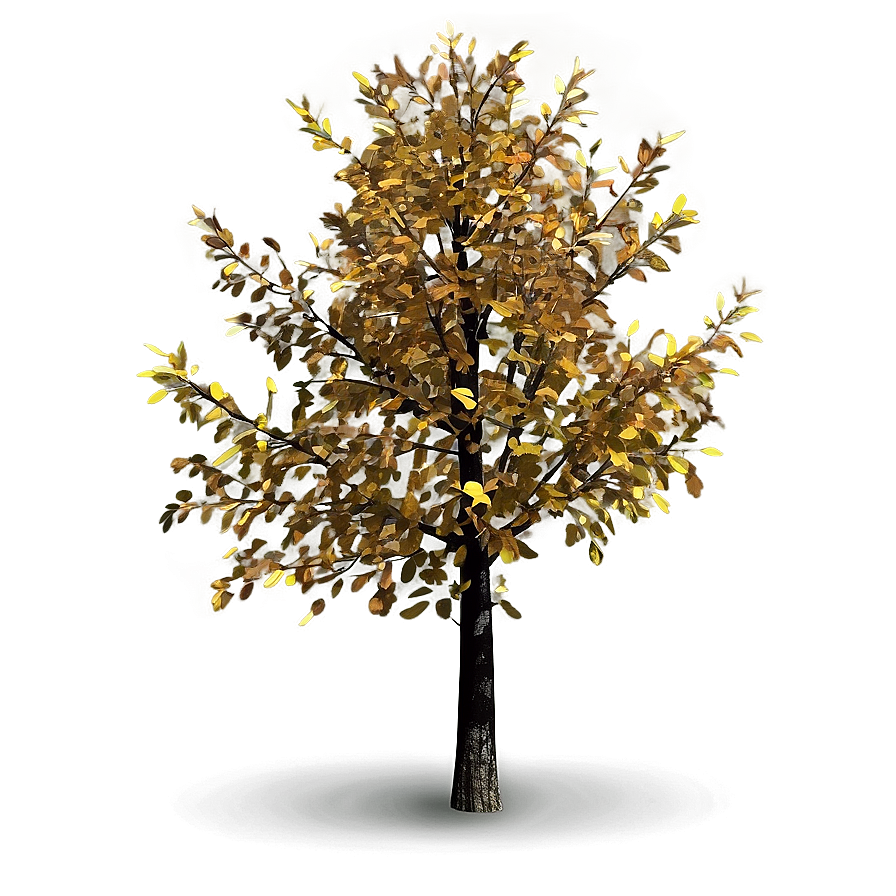 Isolated Autumn Tree Png Uys PNG Image