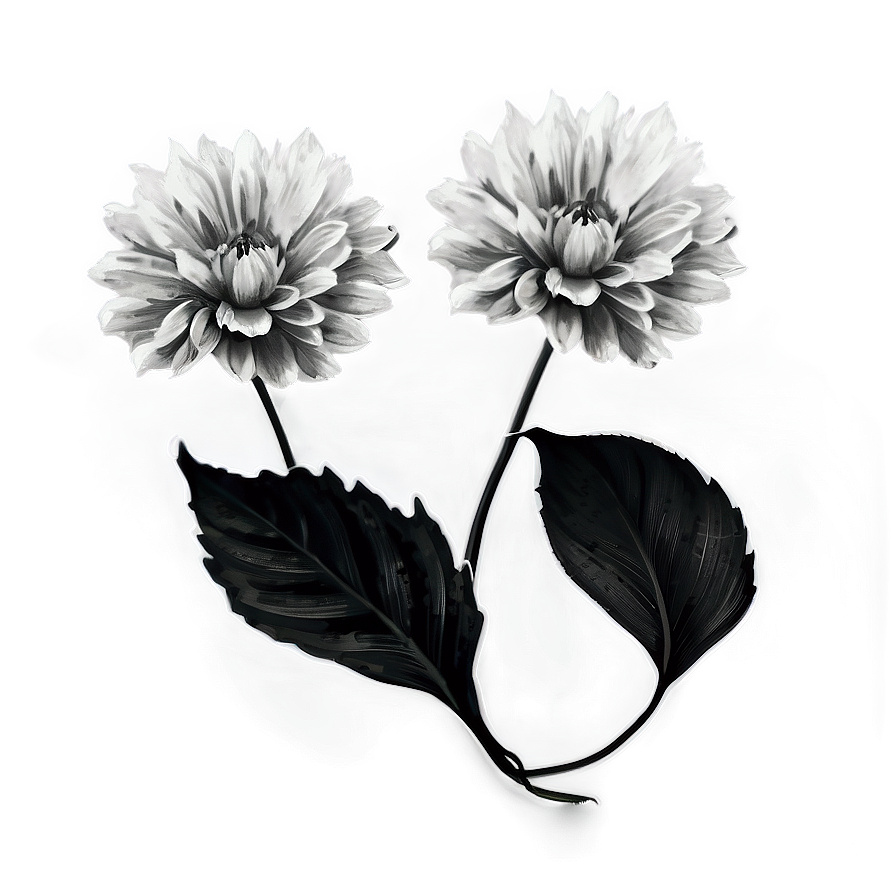 Isolated Black And White Flowers Png 45 PNG Image