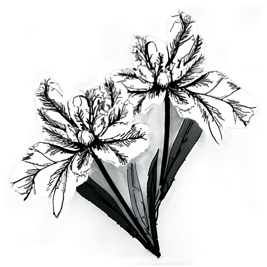 Isolated Black And White Flowers Png 90 PNG Image