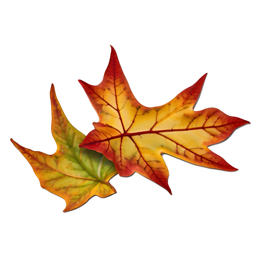 Isolated Fall Leaf Png Nfd20 PNG Image