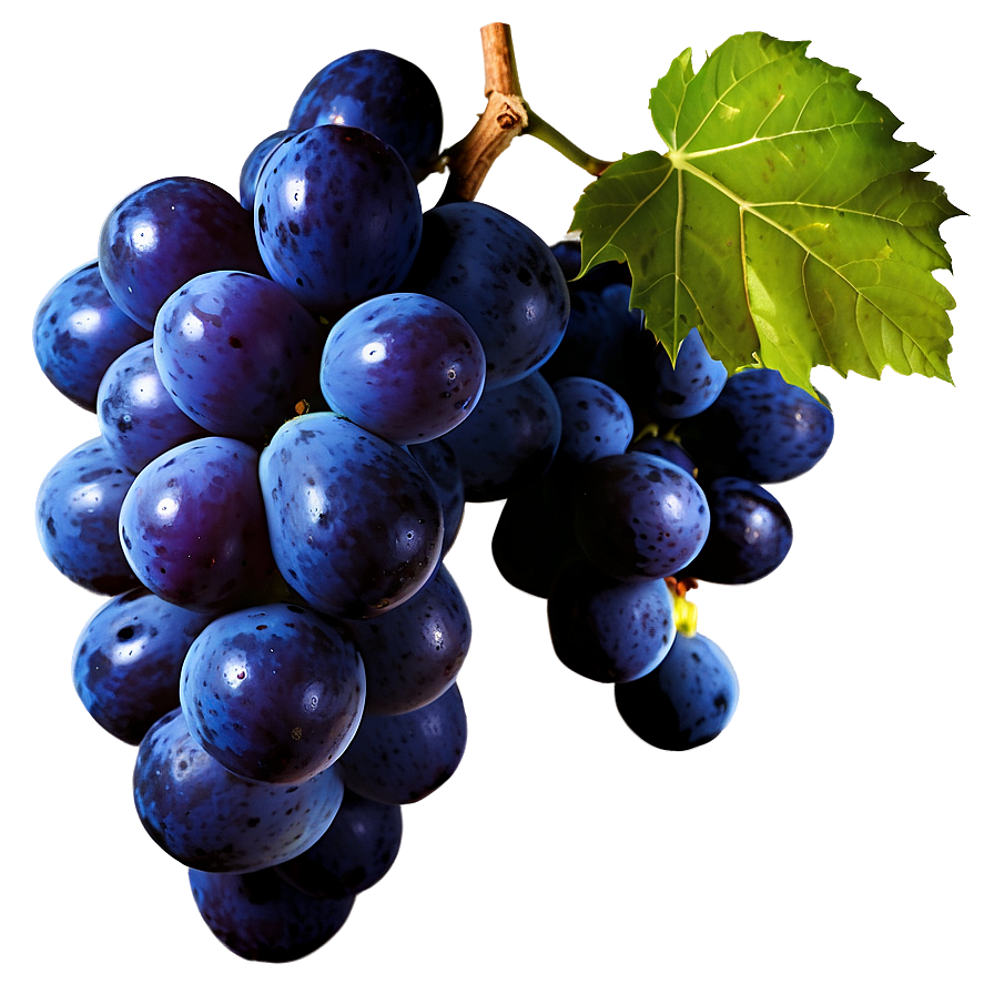 Isolated Grapes Png 74 PNG Image