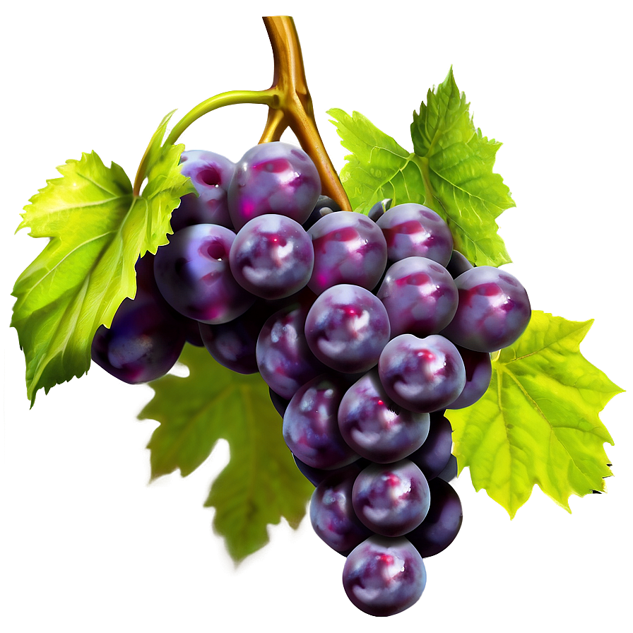 Isolated Grapes Png Gji73 PNG Image