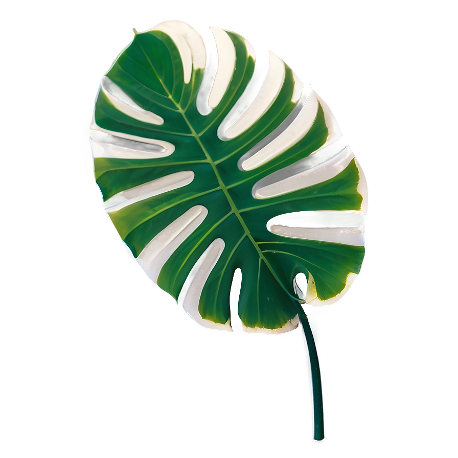 Isolated Monstera Leaf Png Jaq70 PNG Image