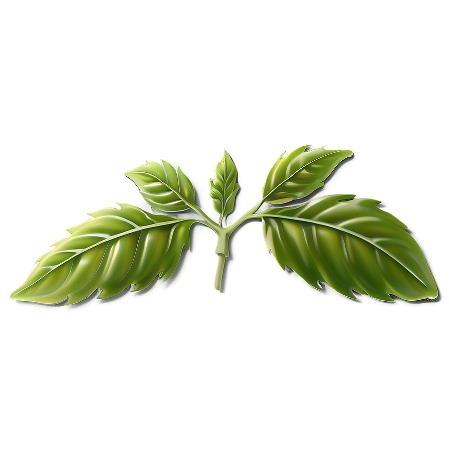 Italian Basil Leaf Png 28 PNG Image