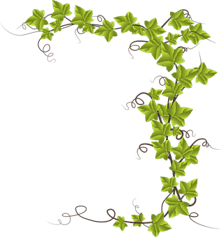 Ivy Alphabet Letter R Design PNG Image