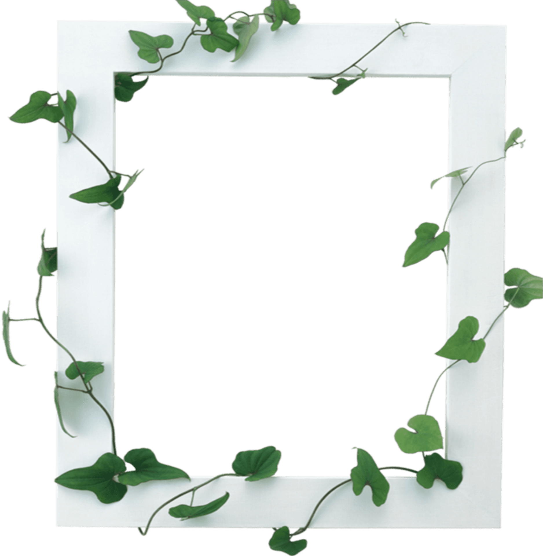 Ivy Embellished Frame Template PNG Image