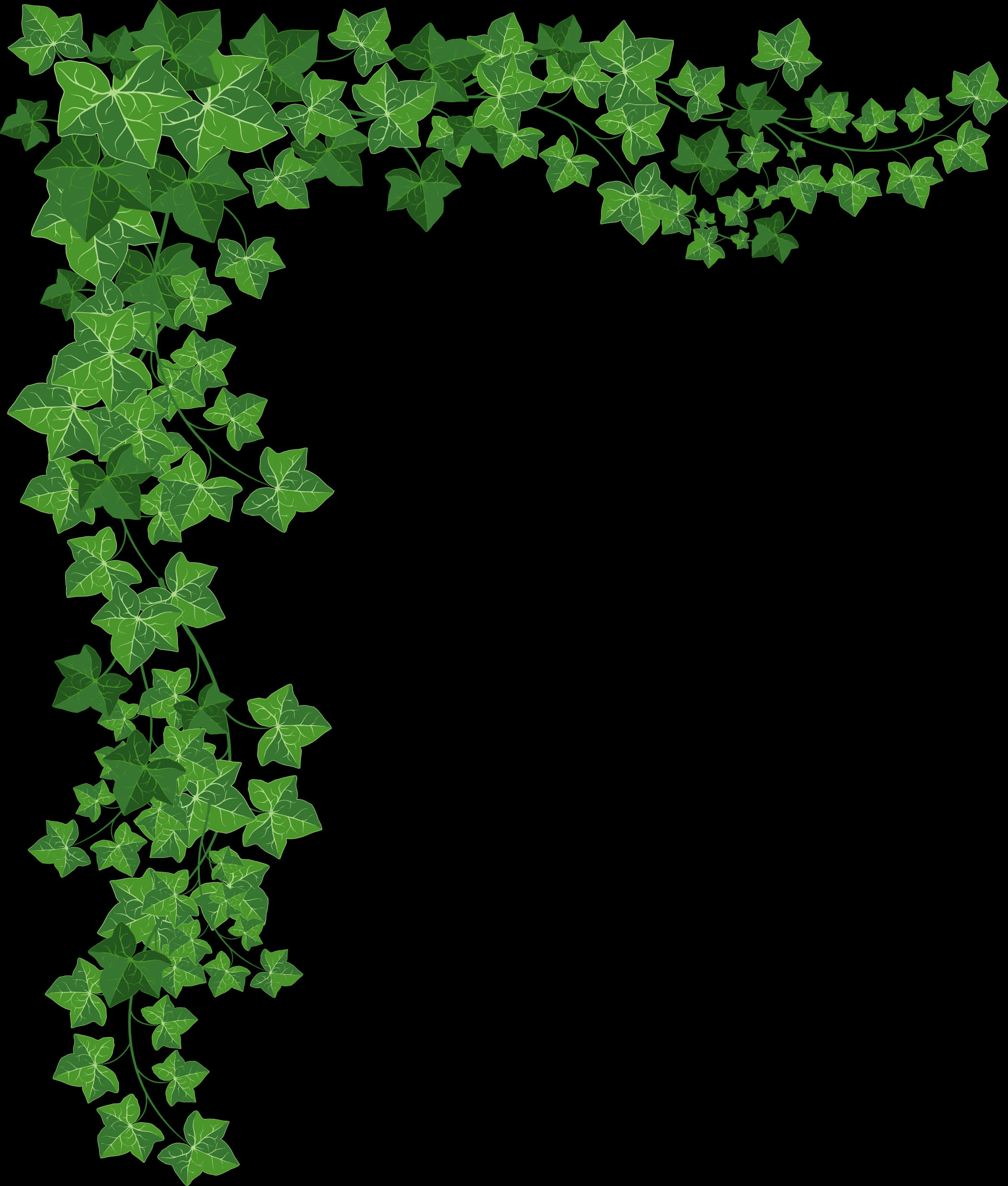 Ivy Vineson Black Background PNG Image