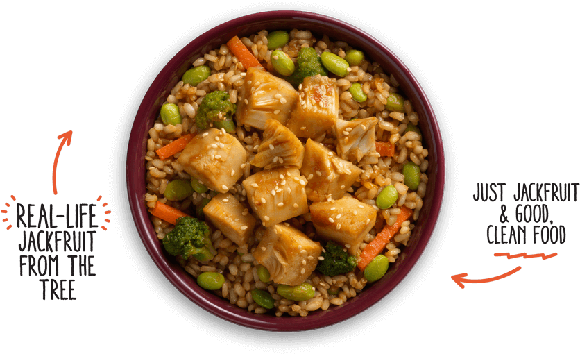 Jackfruit Bowl Healthy Vegan Dish PNG Image