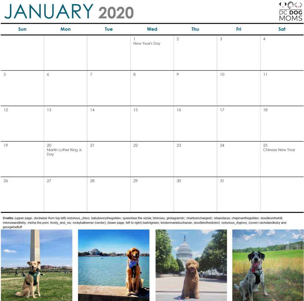 January2020 Dog Themed Calendar PNG Image