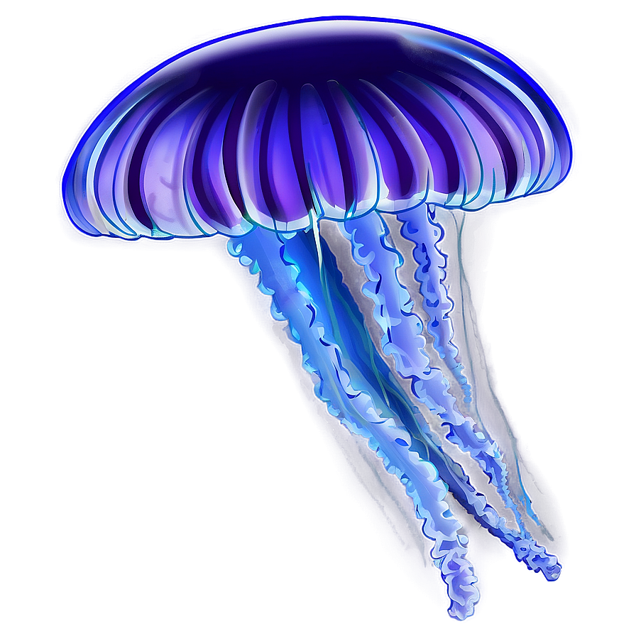 Jellyfish Transparent Png 05262024 PNG Image