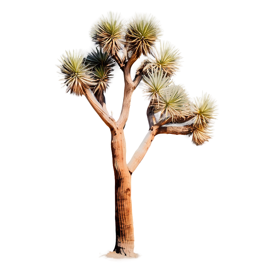 Joshua Tree In Pastel Colors Png Gmp41 PNG Image