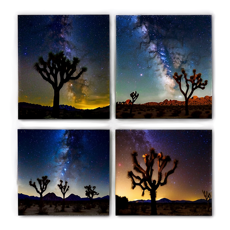 Joshua Tree Night Sky Panorama Png Krm PNG Image