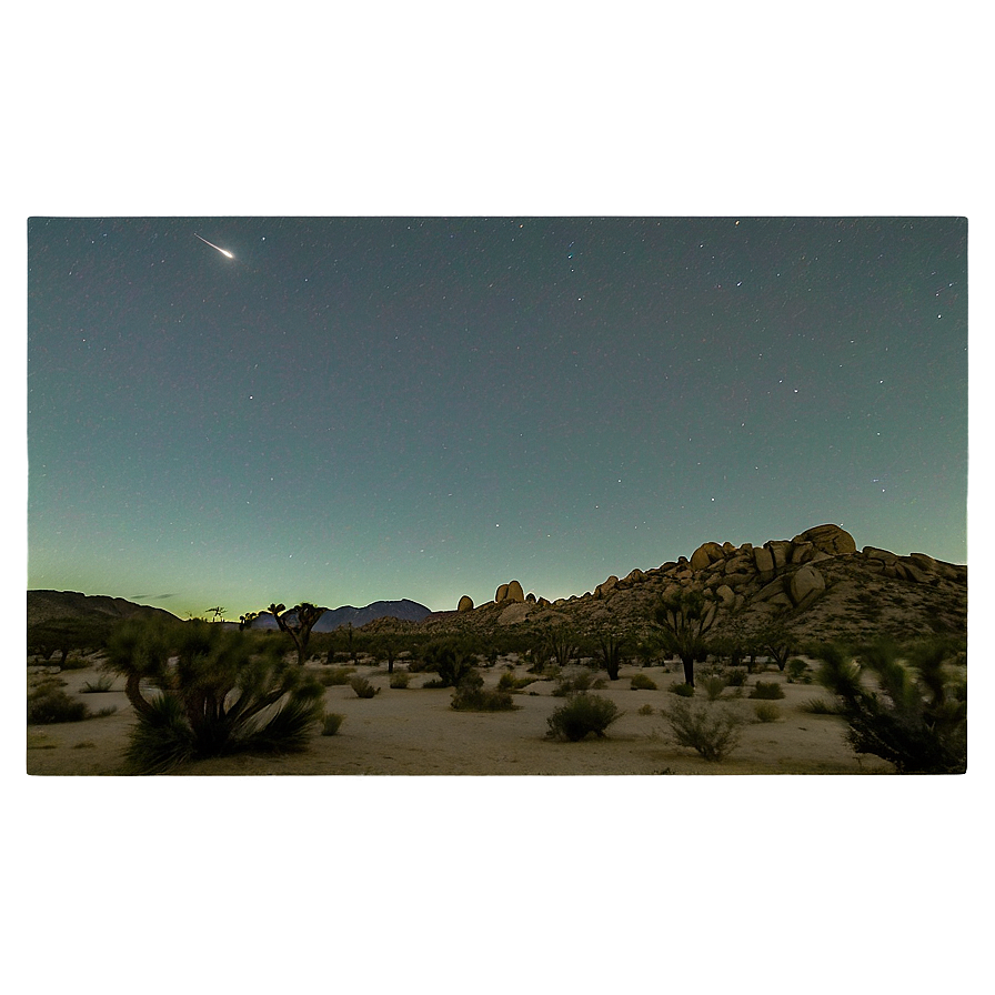 Joshua Tree Under Moonlight Png 45 PNG Image