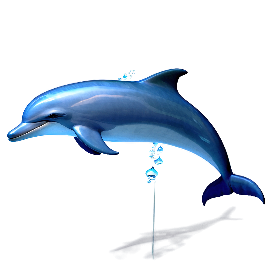 Joyful Dolphin Animation Png 23 PNG Image