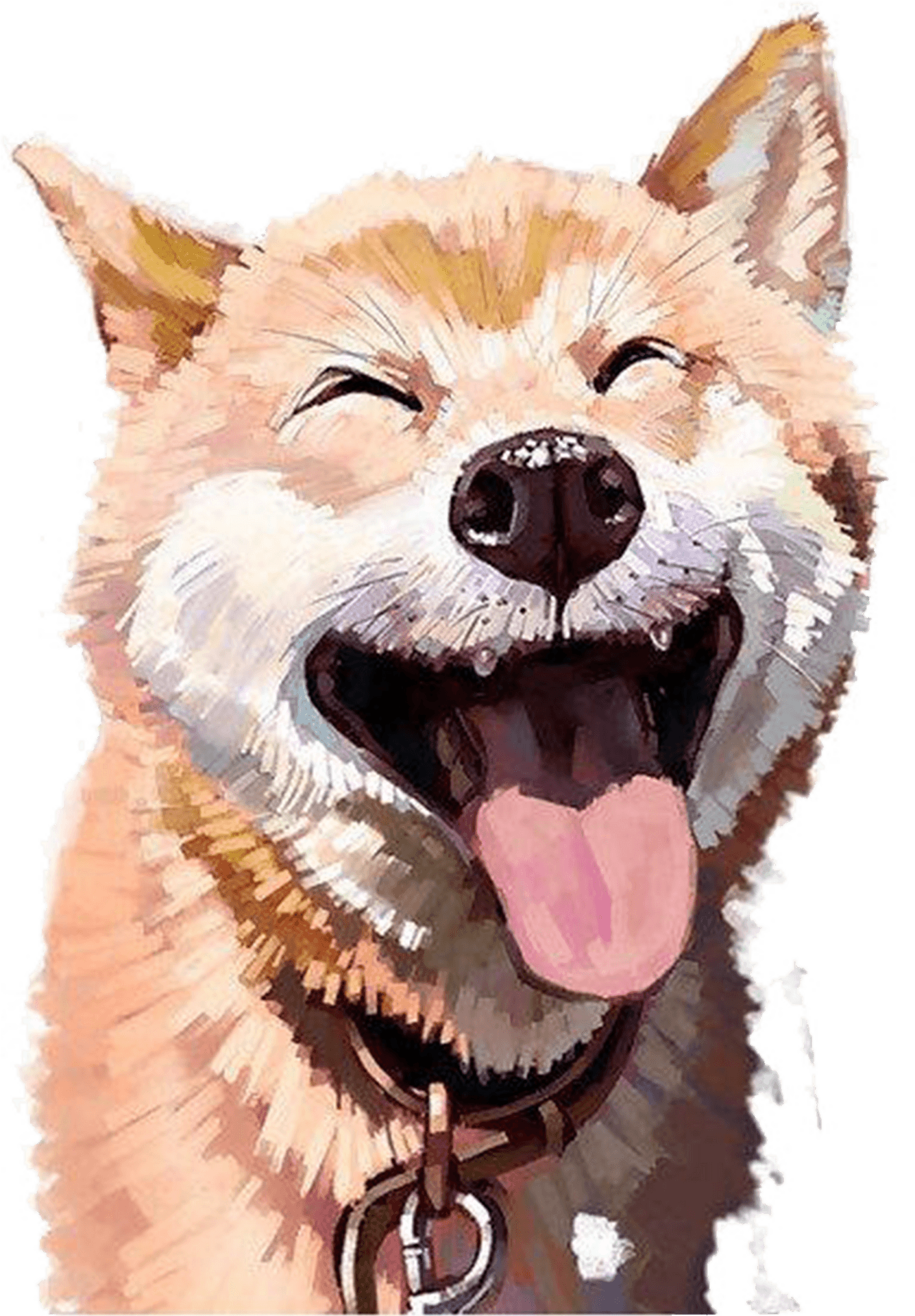 Joyful Shiba Inu Laughing PNG Image