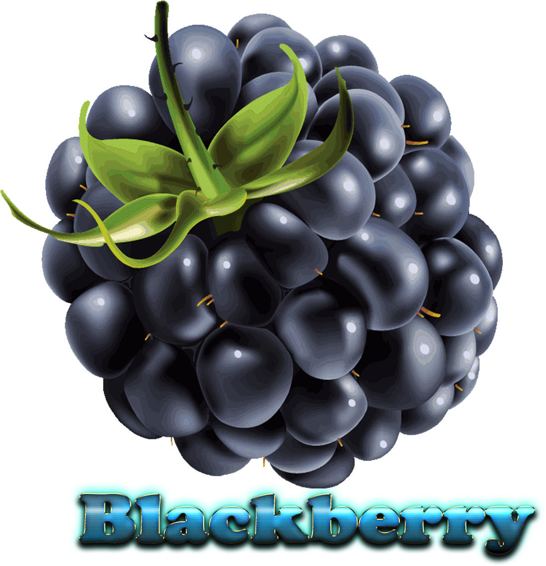 Juicy Blackberry Fruit Illustration PNG Image