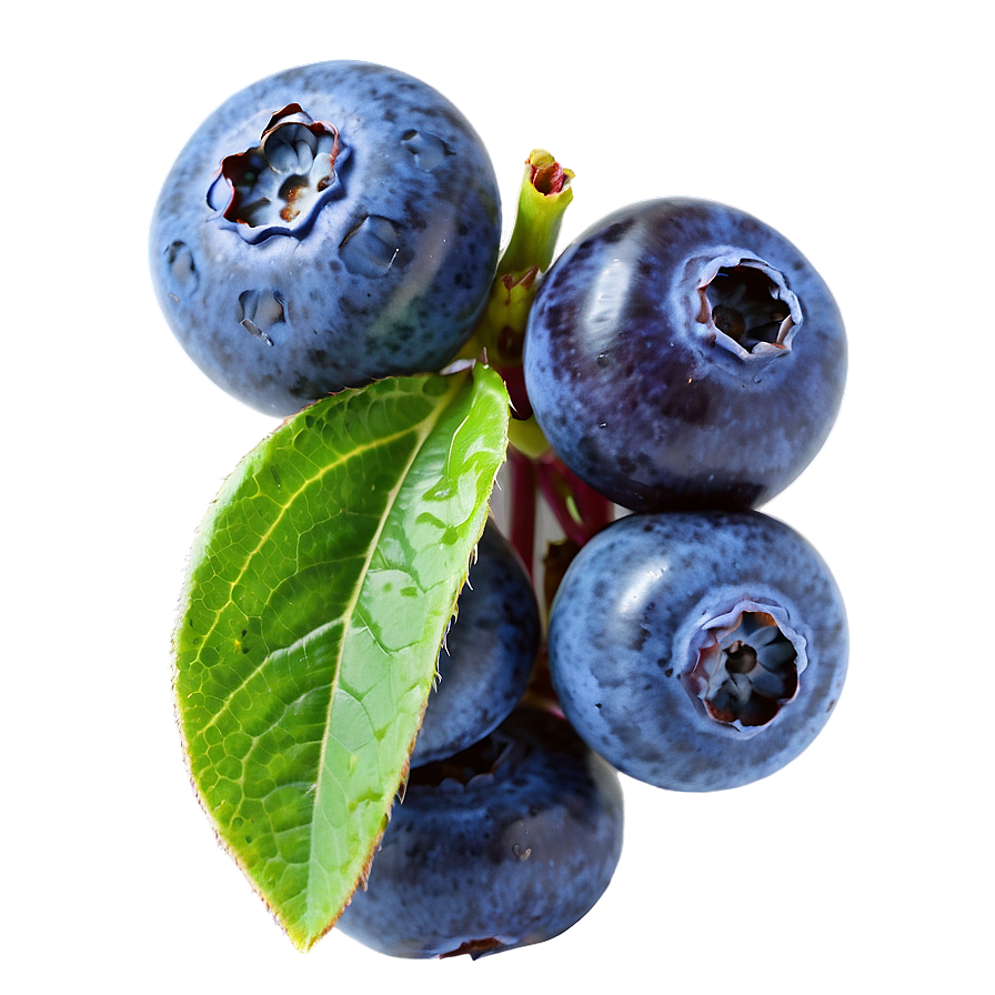 Juicy Blueberries Png 05242024 PNG Image