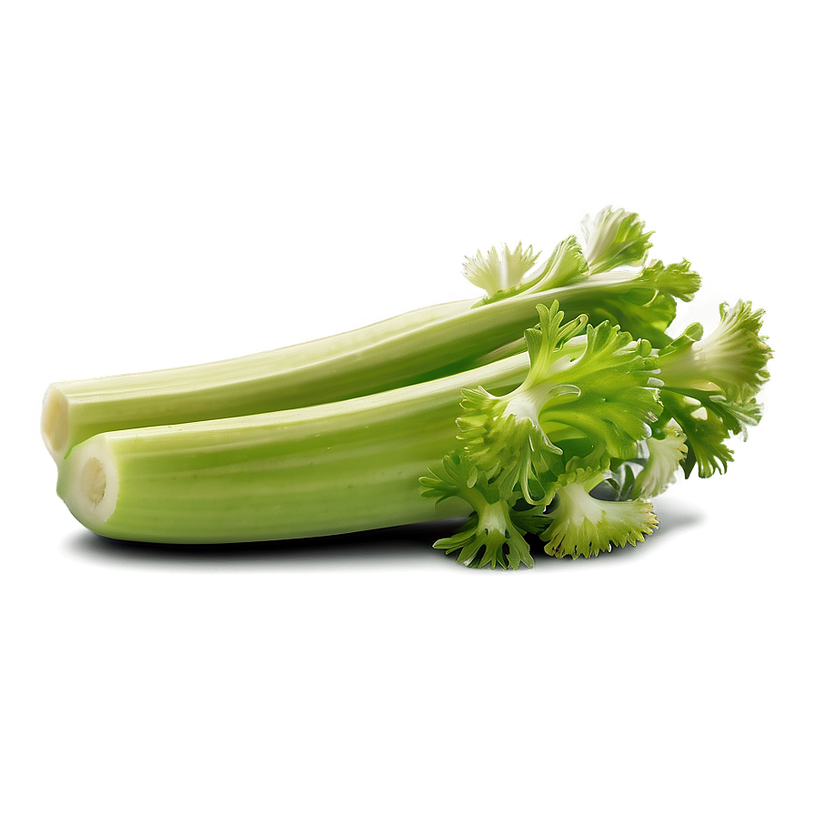 Juicy Celery Png 06252024 PNG Image