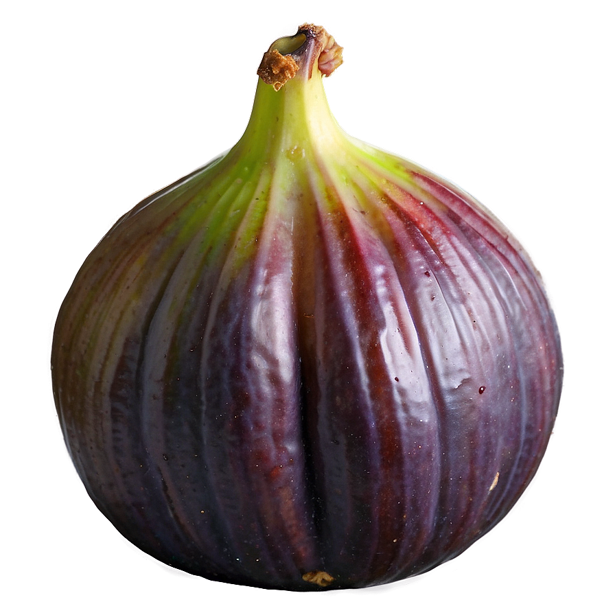 Juicy Fig Image Png 31 PNG Image