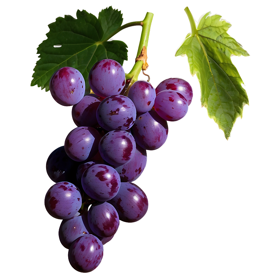 Juicy Grape Png 96 PNG Image