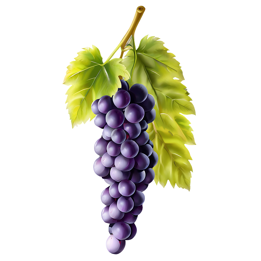 Juicy Grapes Png 05242024 PNG Image