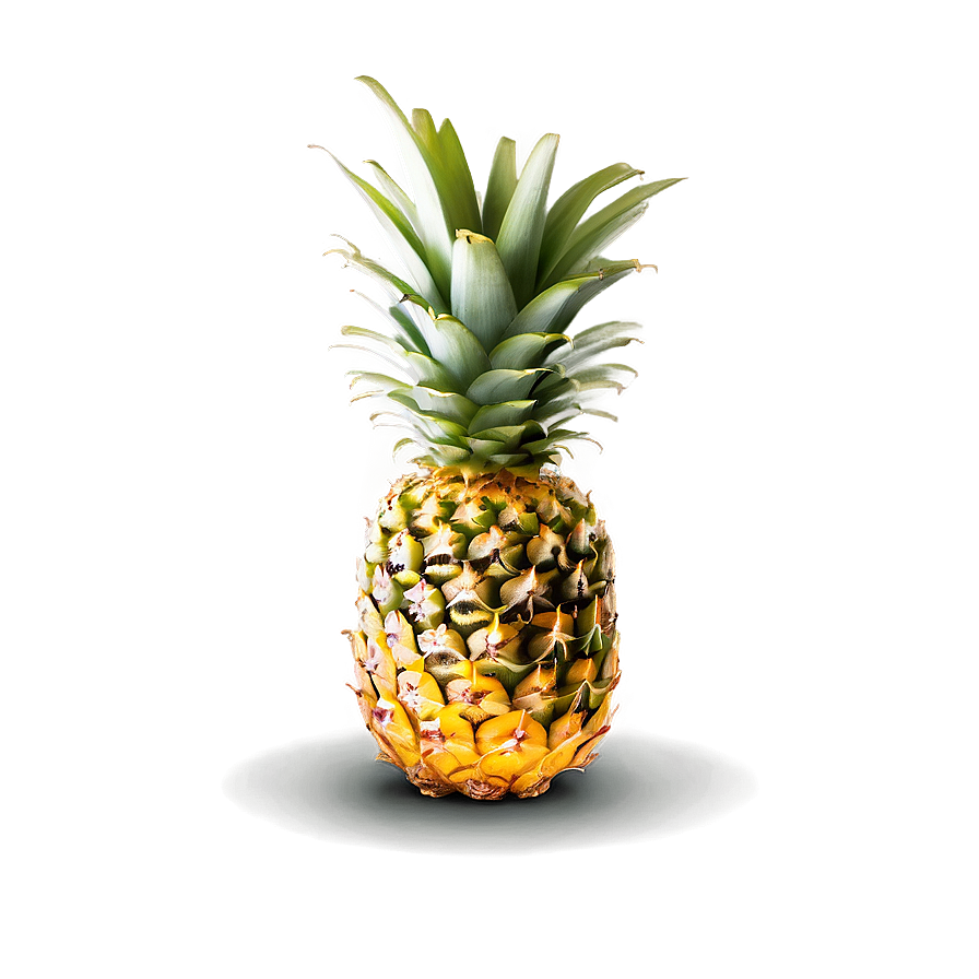 Juicy Pineapple Png Boa4 PNG Image