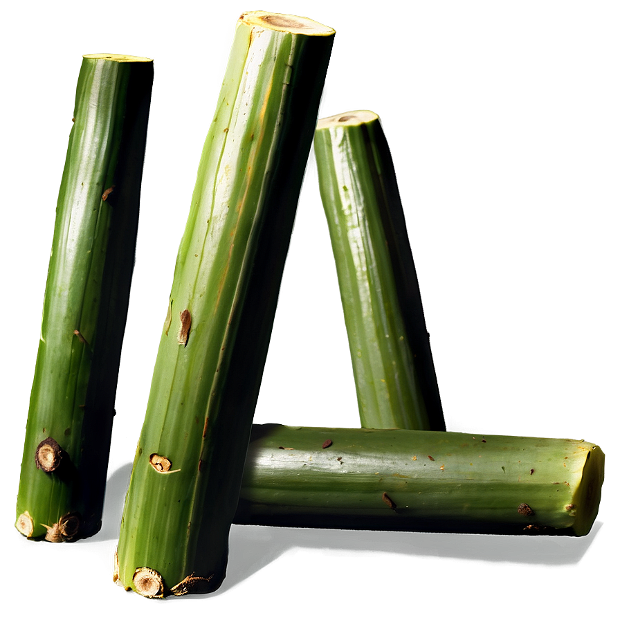 Juicy Sugarcane Segment Png 06262024 PNG Image