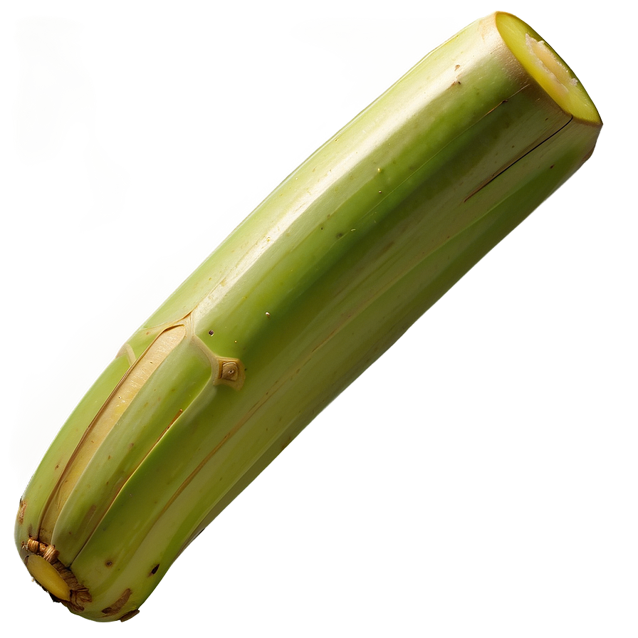 Juicy Sugarcane Segment Png Rwj79 PNG Image