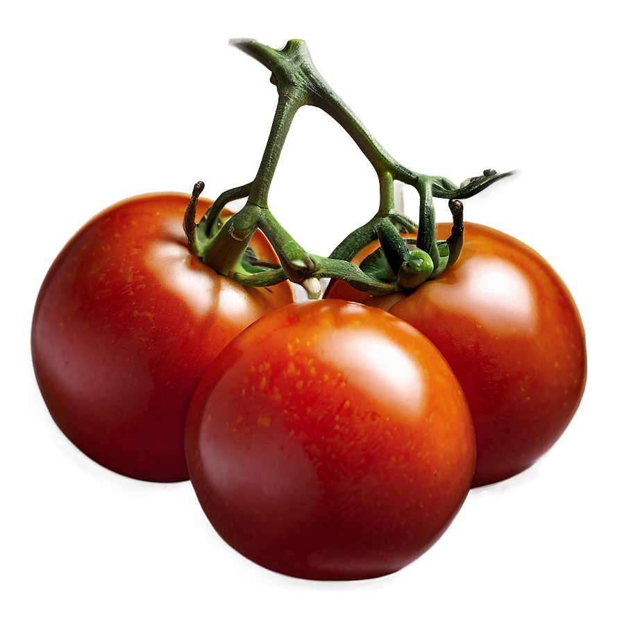 Juicy Tomato Png 29 PNG Image