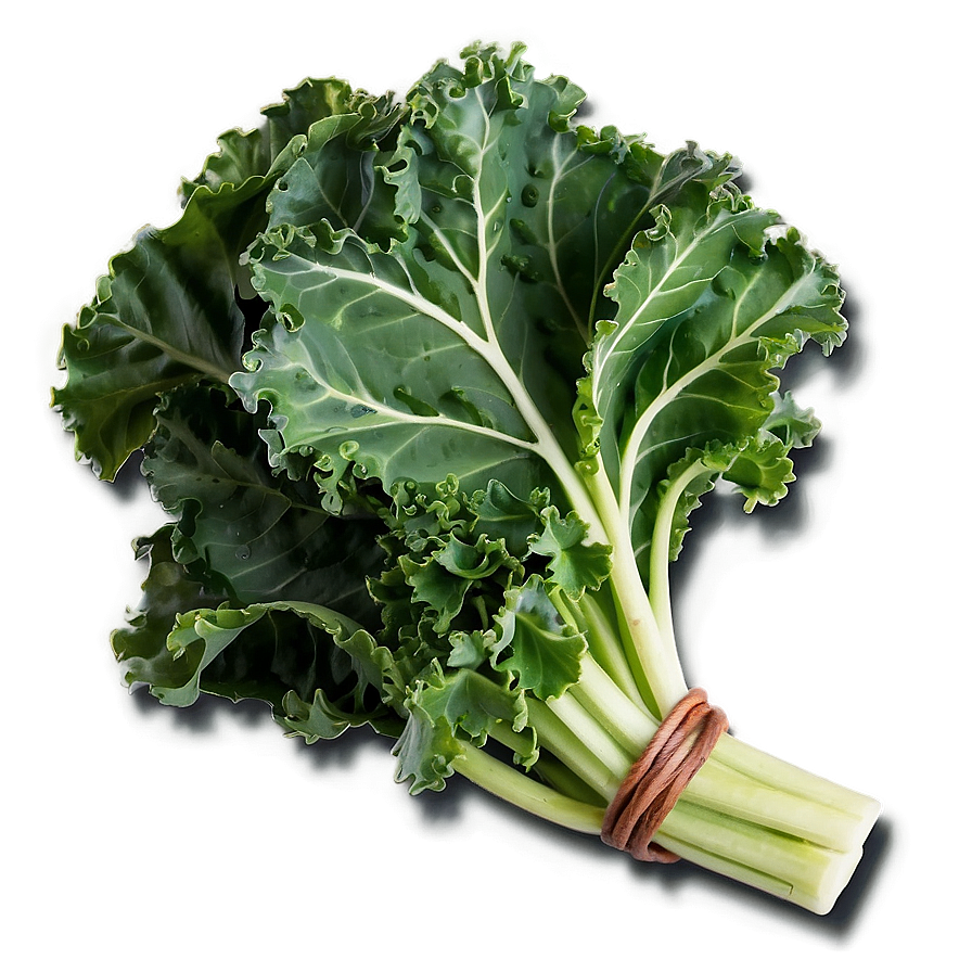 Kale Bunch Closeup Png 06252024 PNG Image