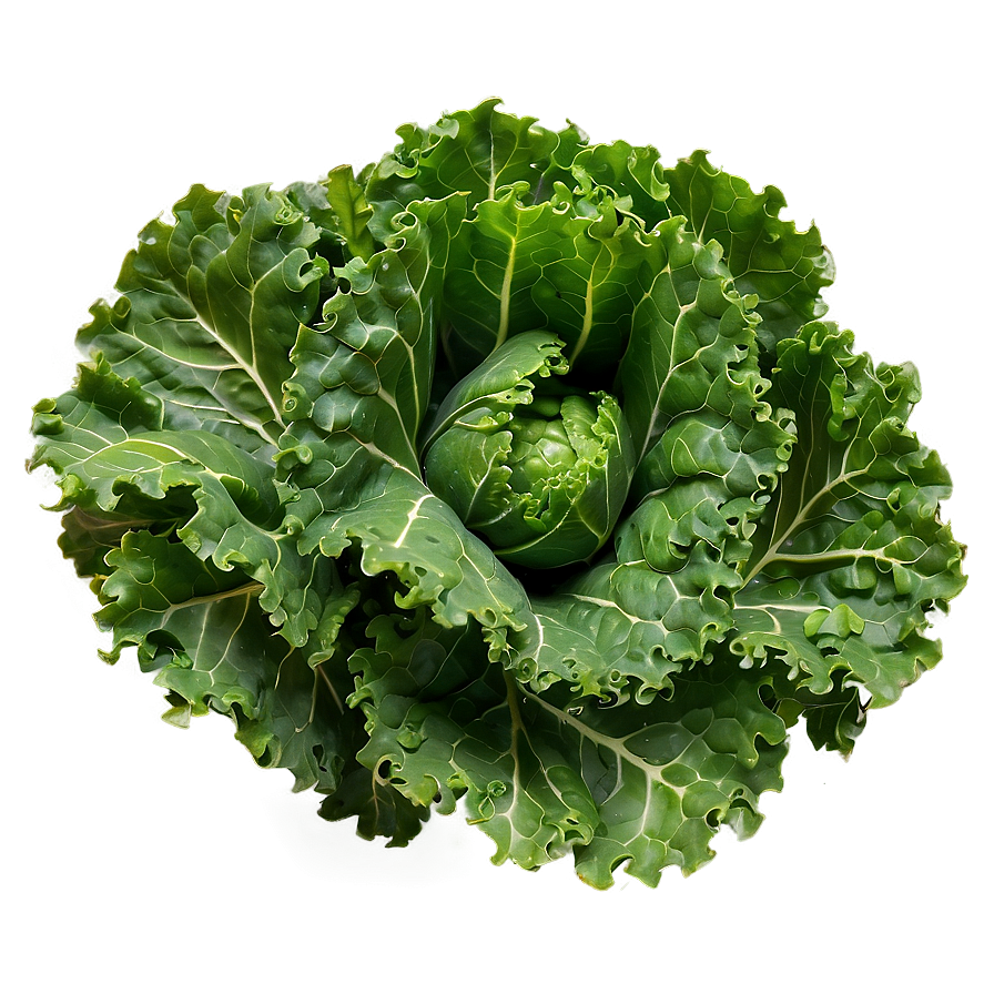 Kale Bunch Closeup Png 63 PNG Image