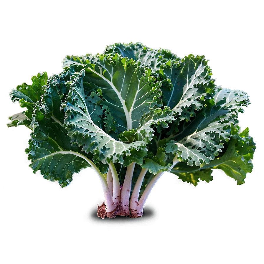 Kale Farm Png Rqg20 PNG Image