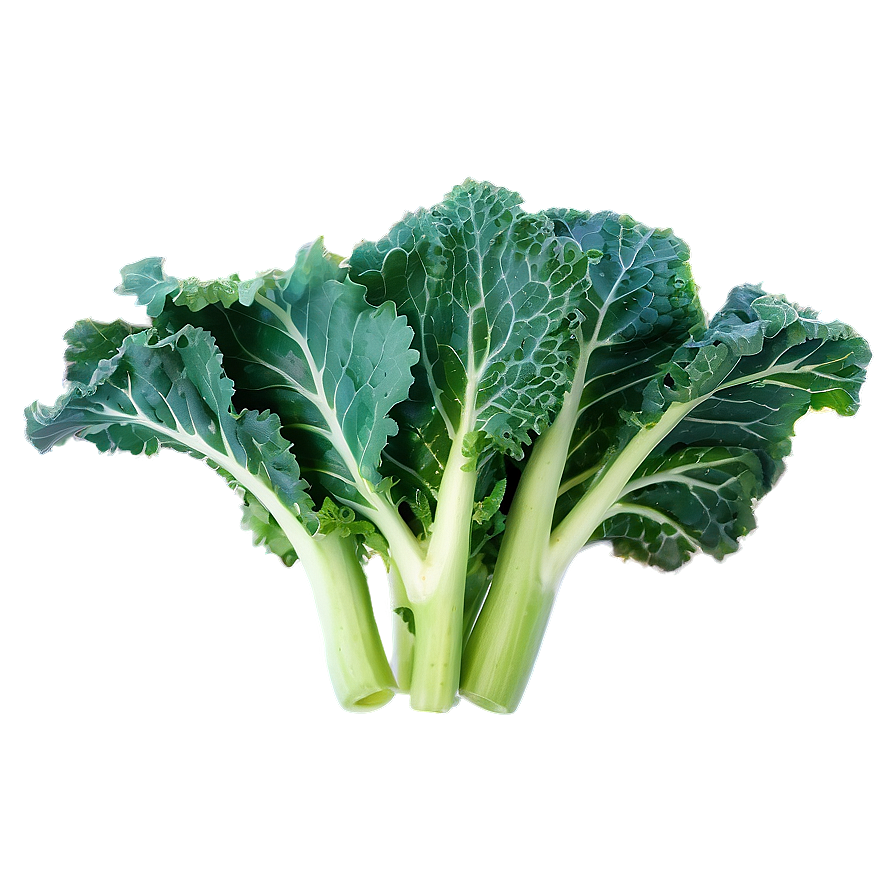 Kale Field Png Ygh44 PNG Image