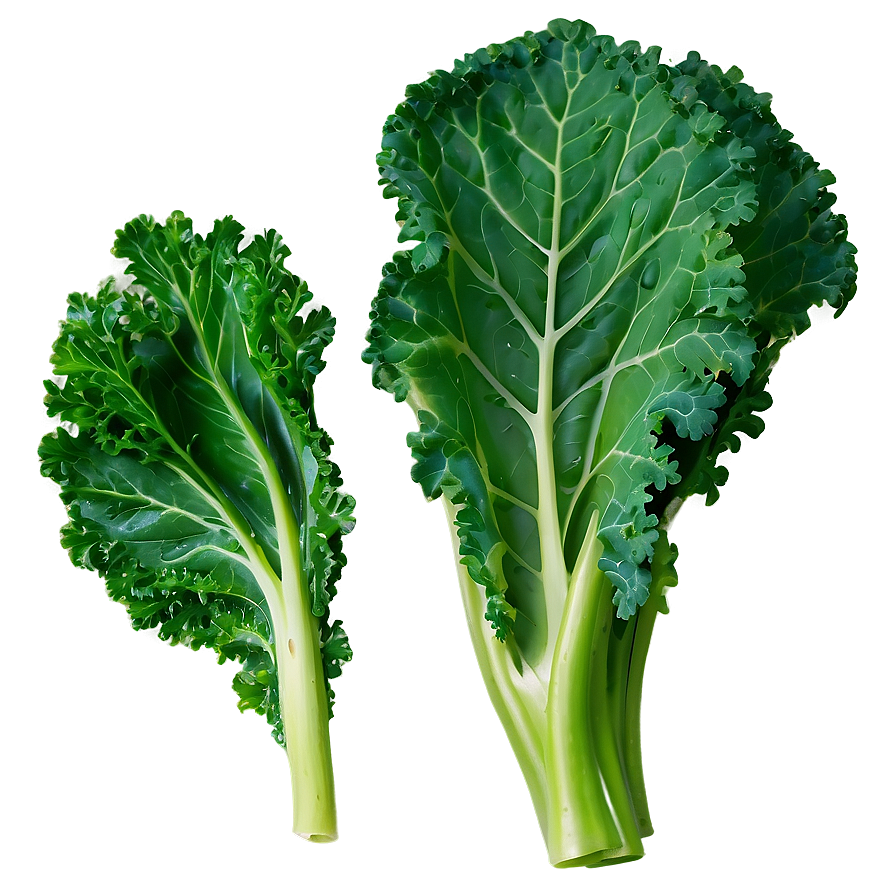 Kale Leaves Png Ogj PNG Image