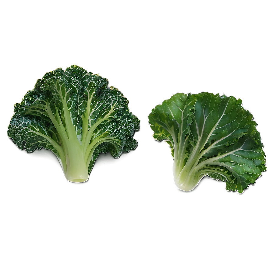 Kale Leaves Png Stf78 PNG Image