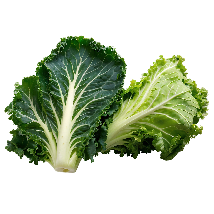 Kale Lettuce Mix Png Hqx62 PNG Image