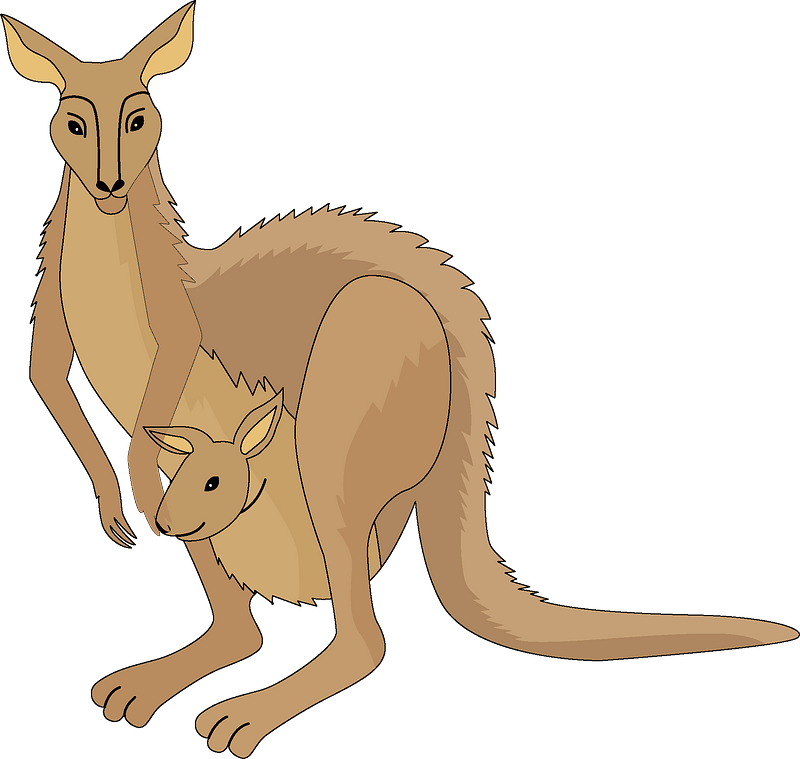 Kangarooand Joey Cartoon PNG Image