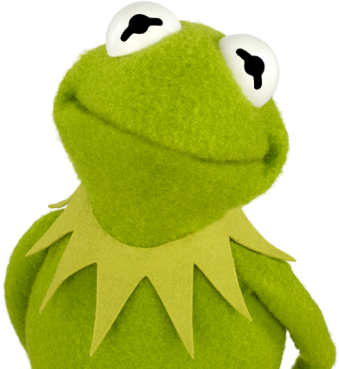 Kermitthe Frog Portrait PNG Image