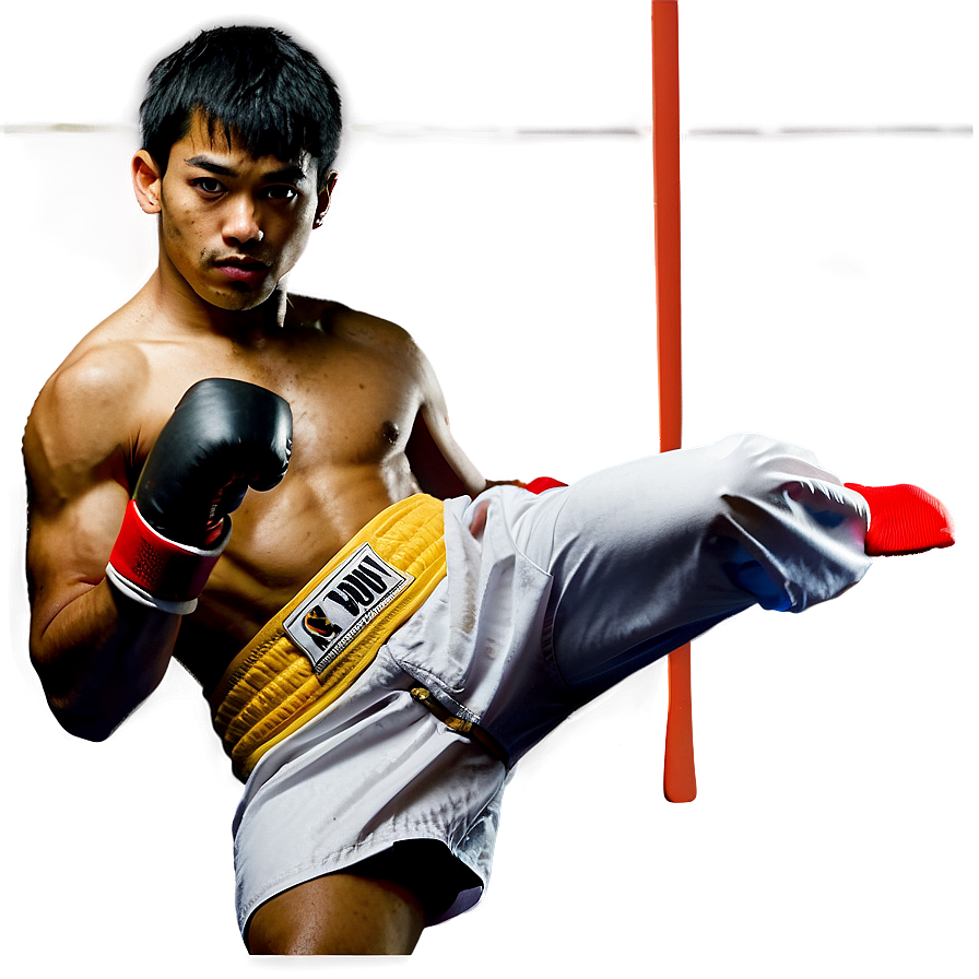 Kickboxing D PNG Image