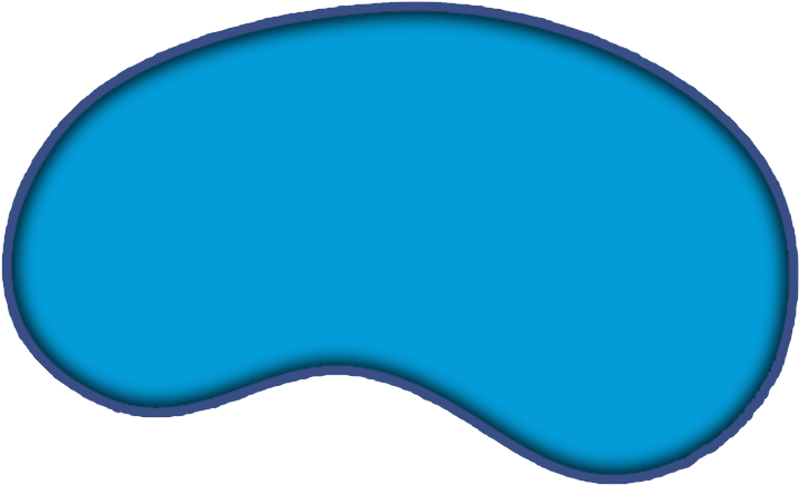 Kidney Bean Shaped Object PNG Image