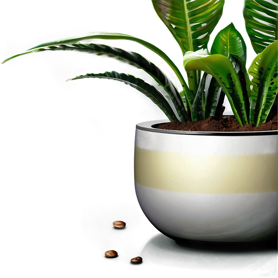 Kitchen Houseplant Png 06202024 PNG Image