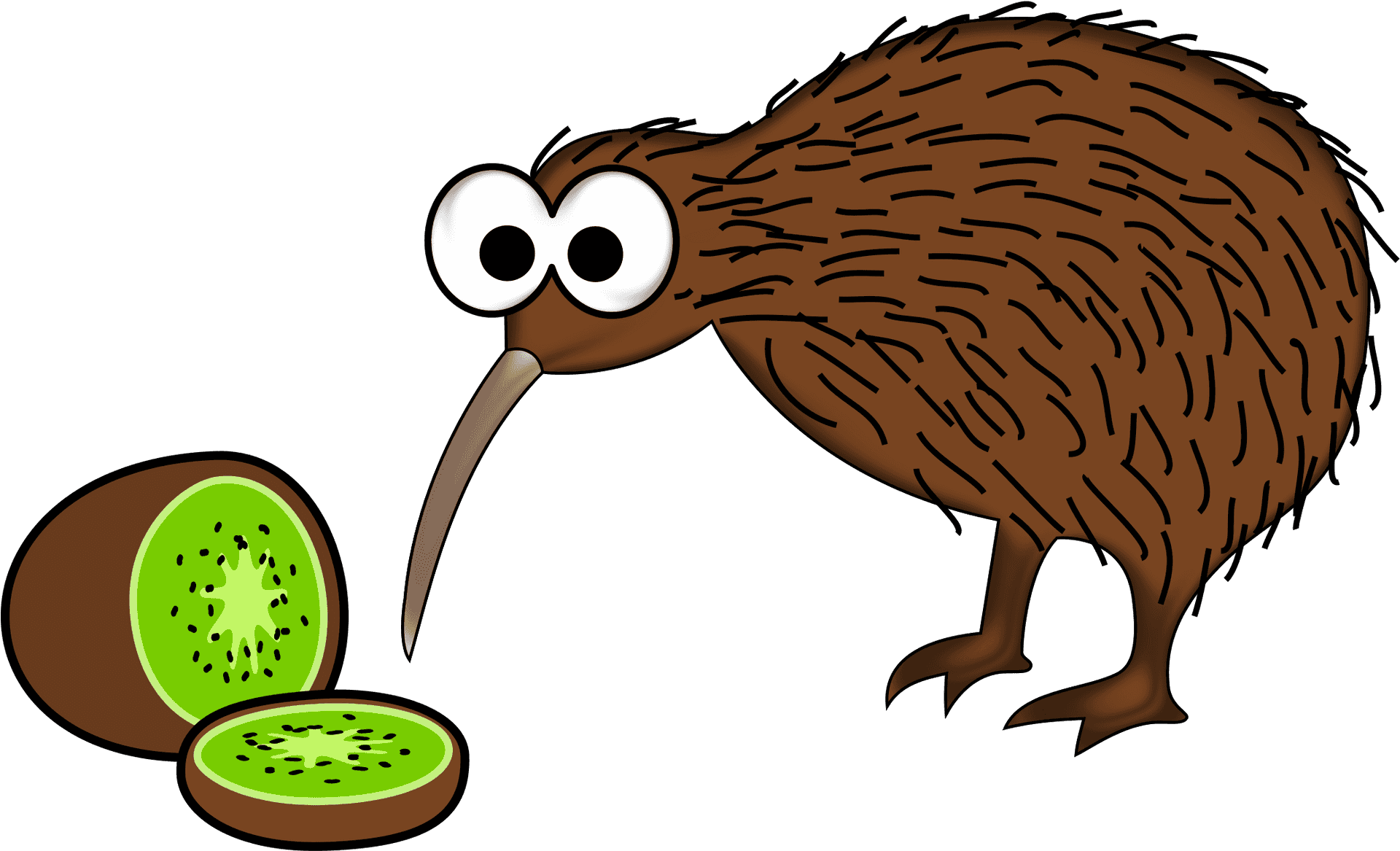 Kiwi Birdand Kiwi Fruit Cartoon PNG Image