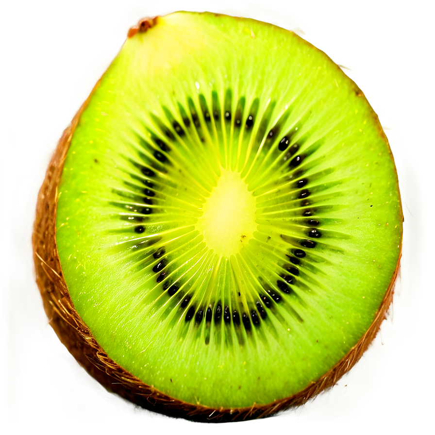 Kiwi Harvest Png 05242024 PNG Image