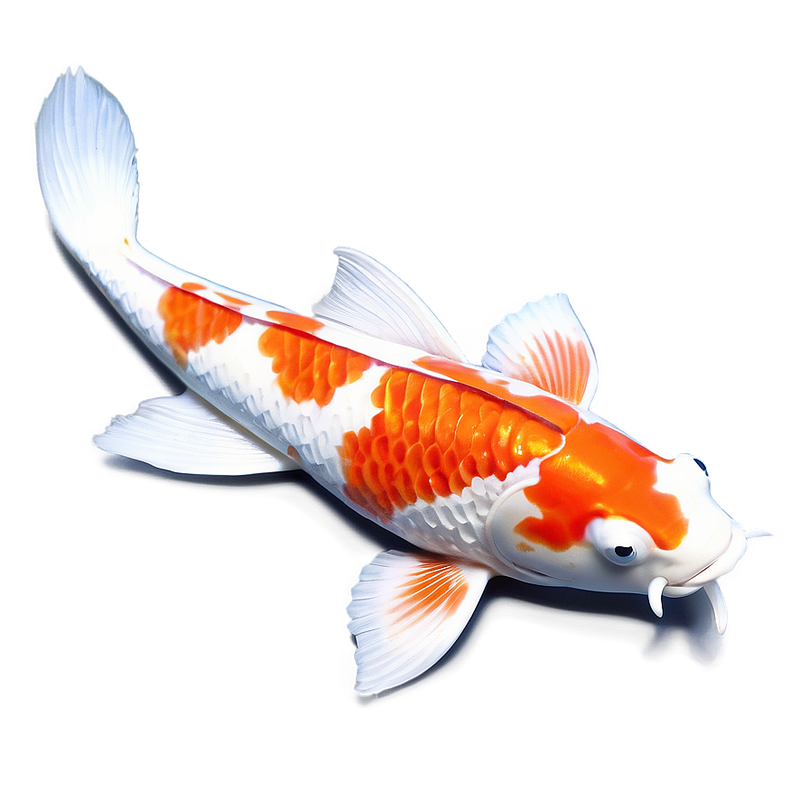 Koi In Moonlit Pond Png 06242024 PNG Image