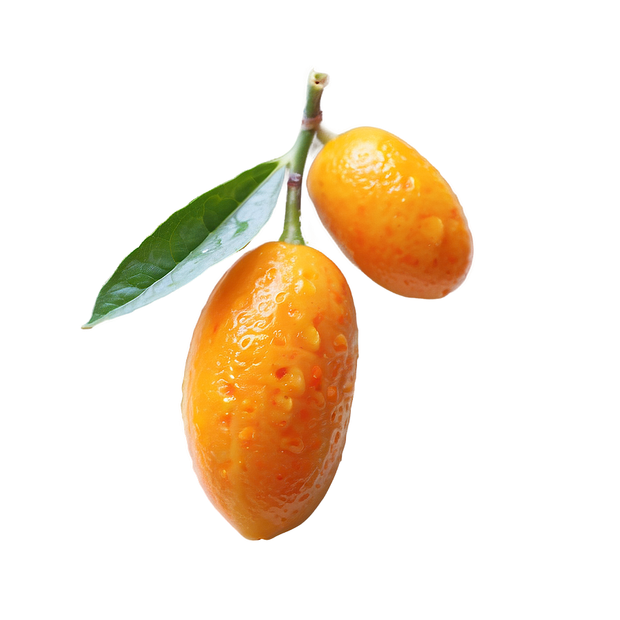 Kumquat D PNG Image