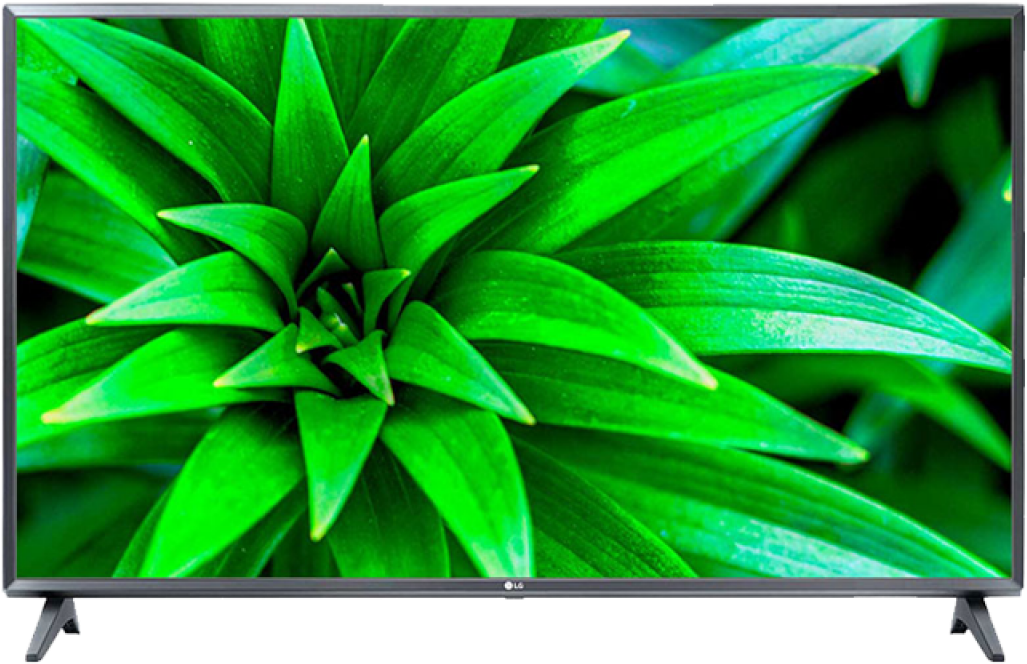 L G T V Green Plant Display PNG Image