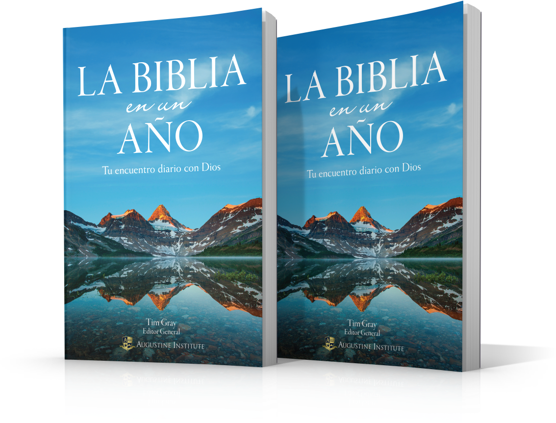 La Bibliaenun Ano Book Cover PNG Image