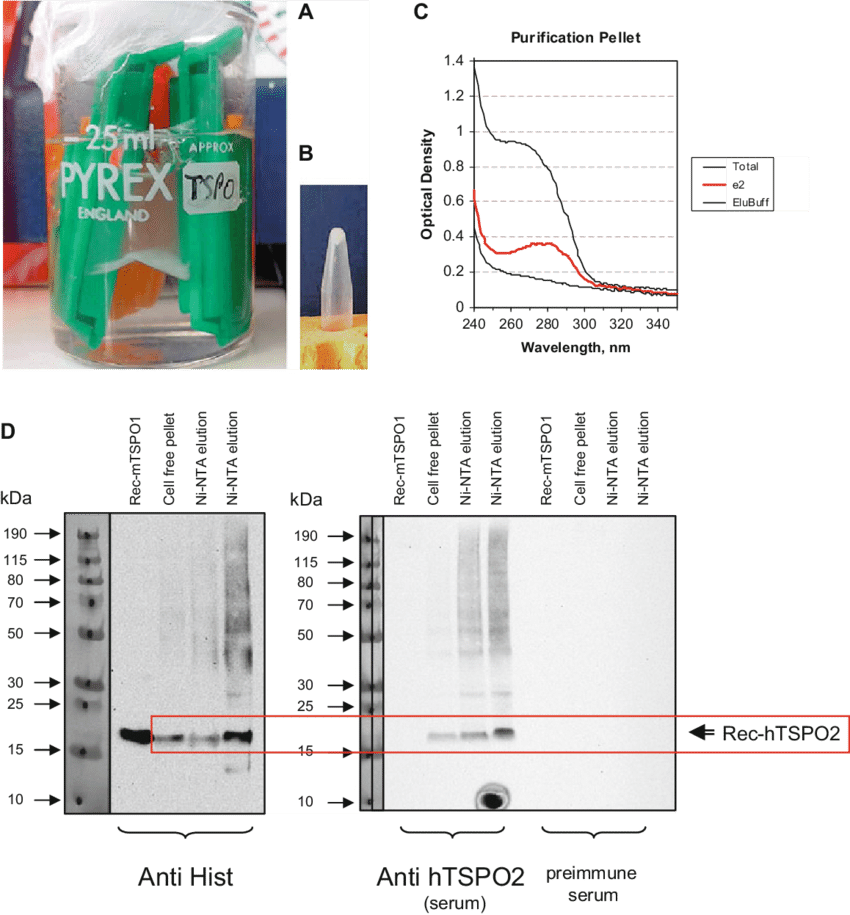 Laboratory Research Data Collage PNG Image