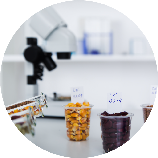 Laboratory Seed Experiment Setup PNG Image