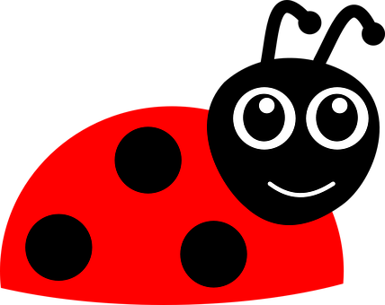 Ladybug PNG Image